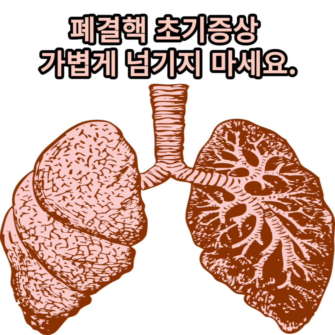 폐결핵 초기증상